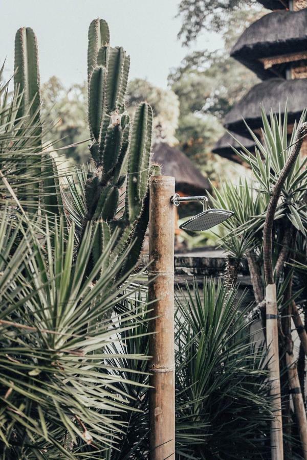 The Seseh House Canggu (Bali) Exterior photo